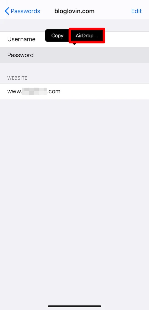 Transfer passwords via AirDrop